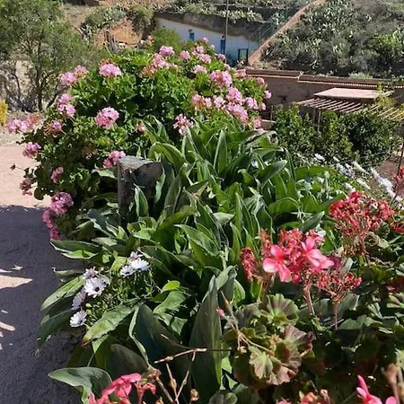 La Escondida * Arico Viejo