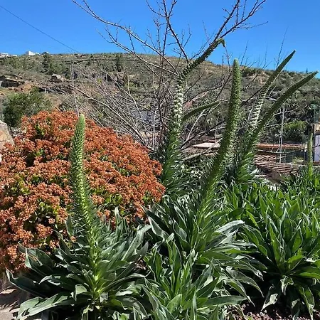 La Escondida Σπίτι διακοπών *