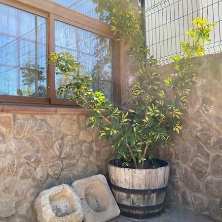 Σπίτι διακοπών La Escondida Arico Viejo